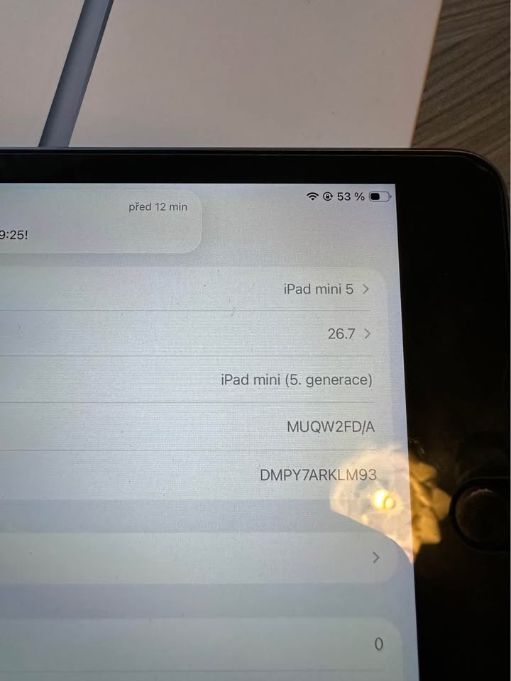 Ipad mini 5 2019 64GB - 2