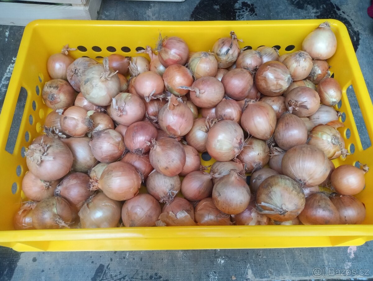 Brambory, cibule, česnek, jablka - 2