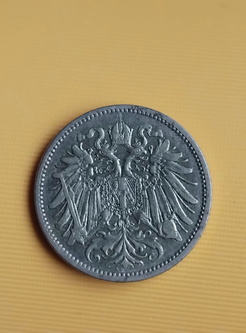20 haléř 1895 - 2