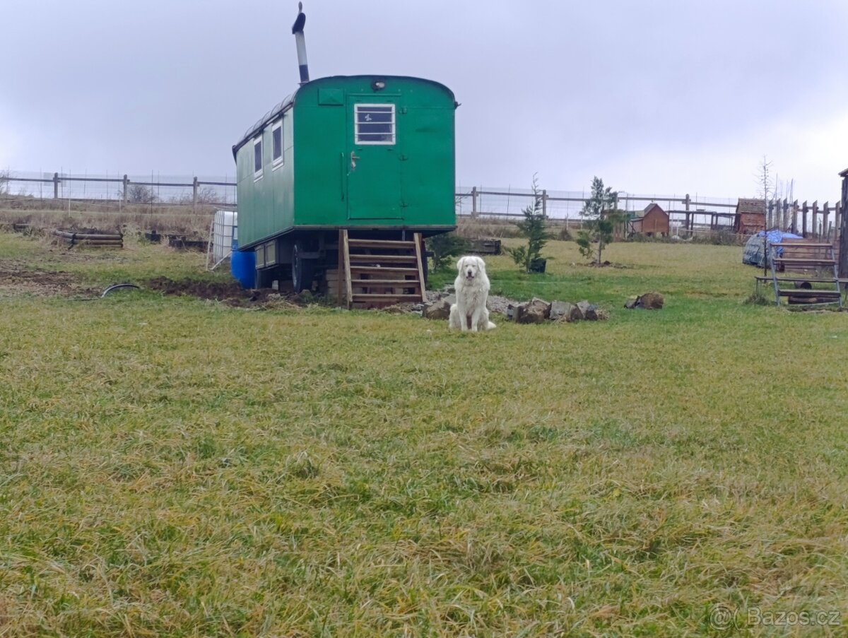 Maringotka na predaj - 2