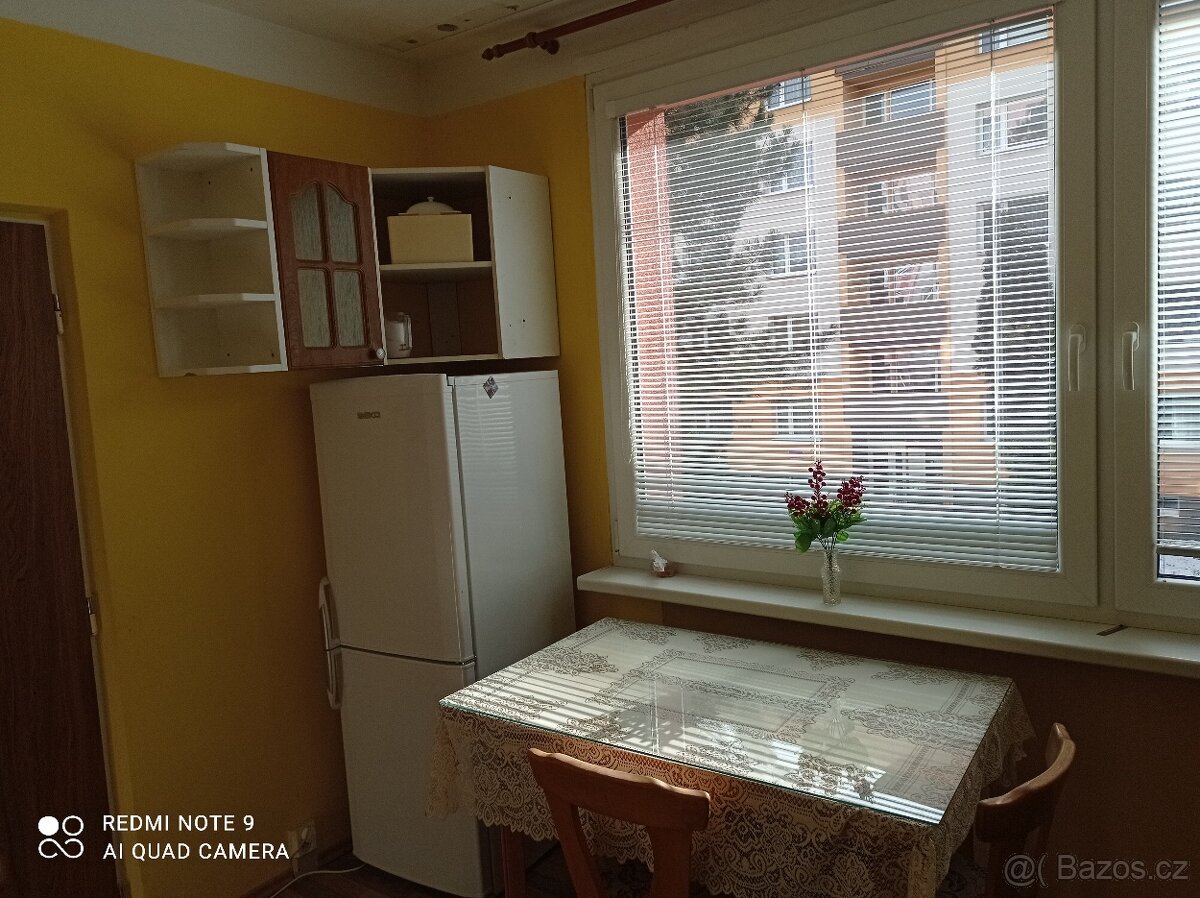 krátkodobý pronájem - 2