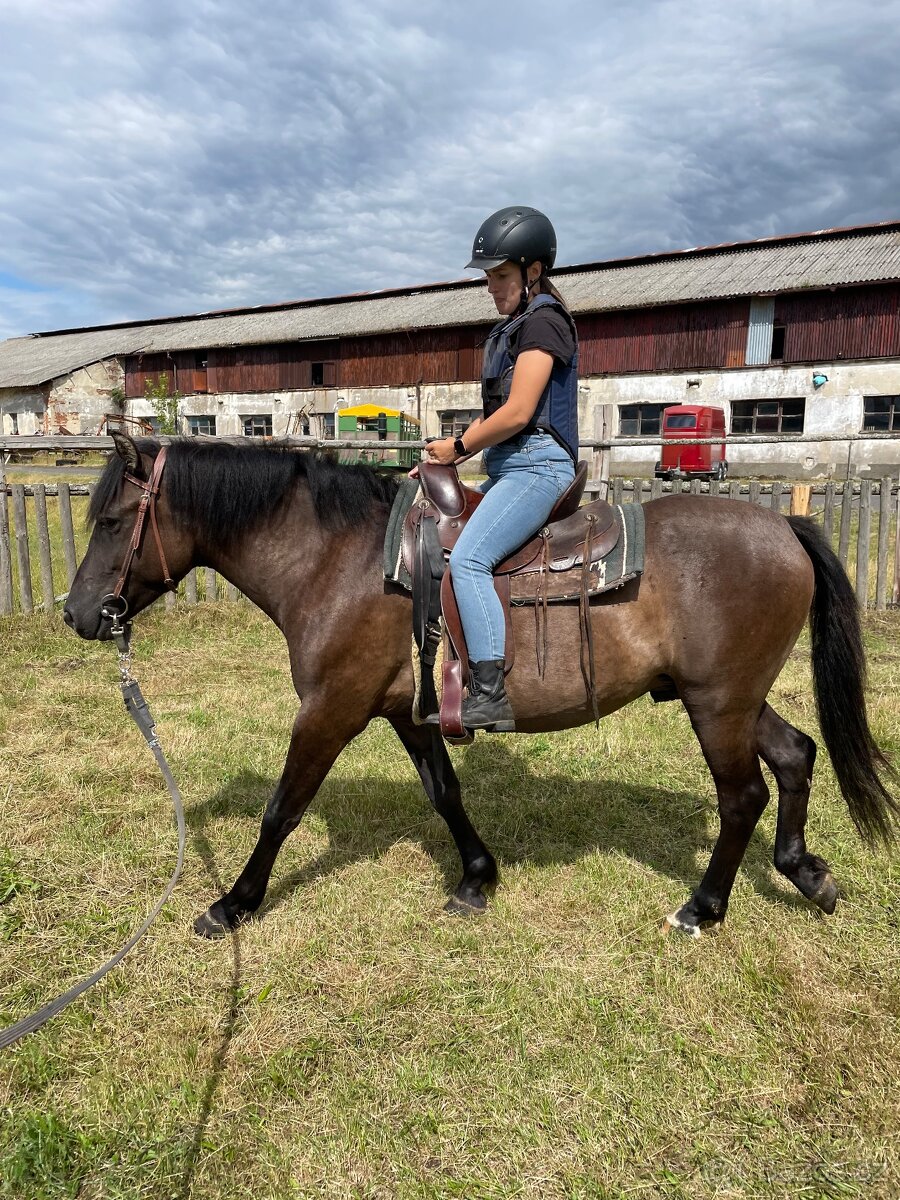 Milionový valach - 2