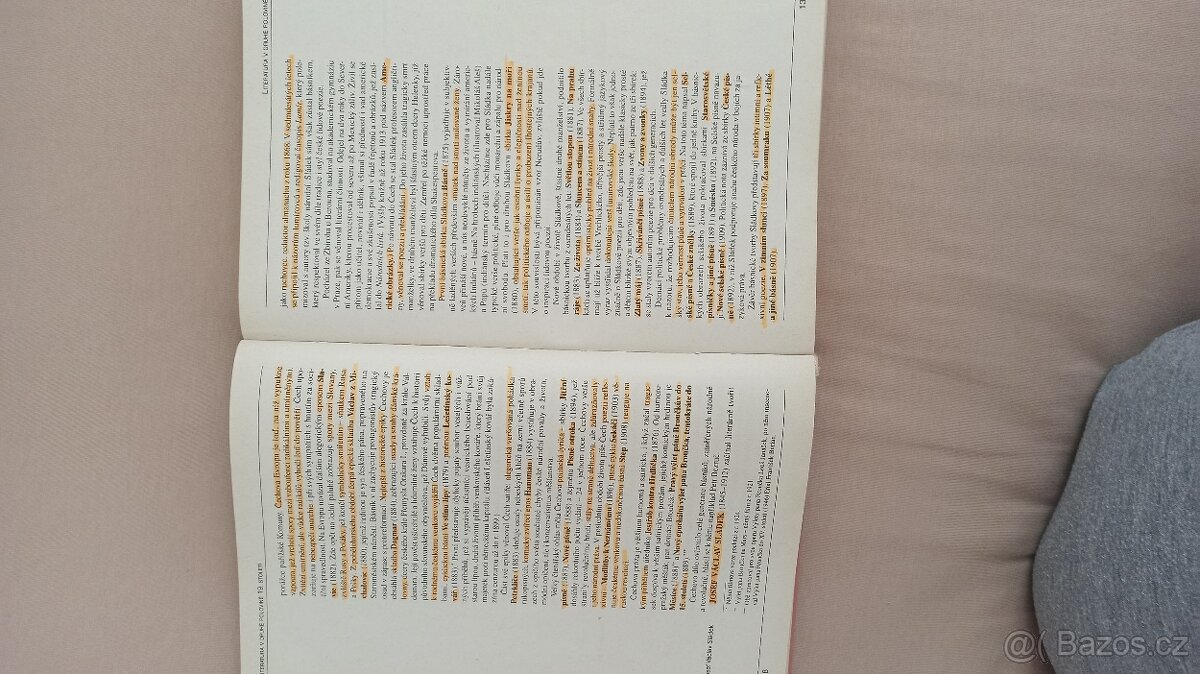 Panorama české literatury - 2