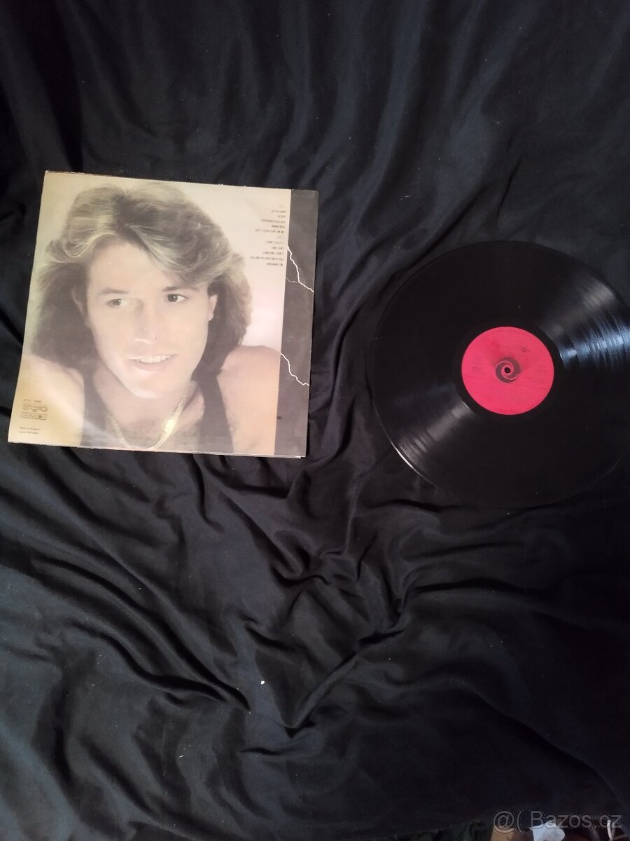 Originál Gramofonové desky ANDY GIBB - after dark - 2