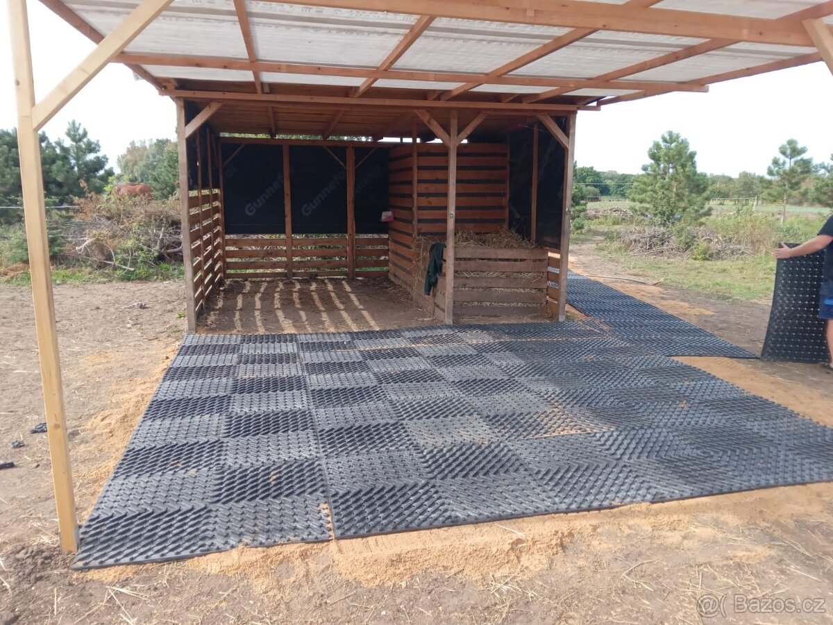 Pastevní ustájení 24/7 - 2