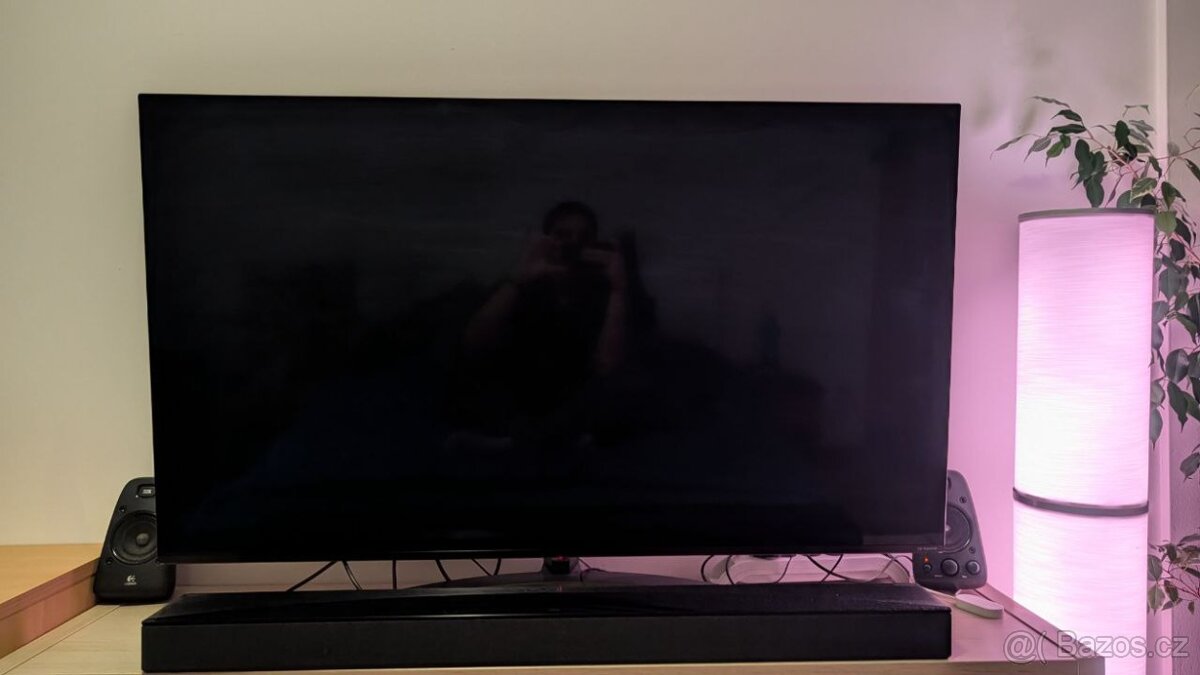 Televize LG 55 NANO866NA V záruce - 2