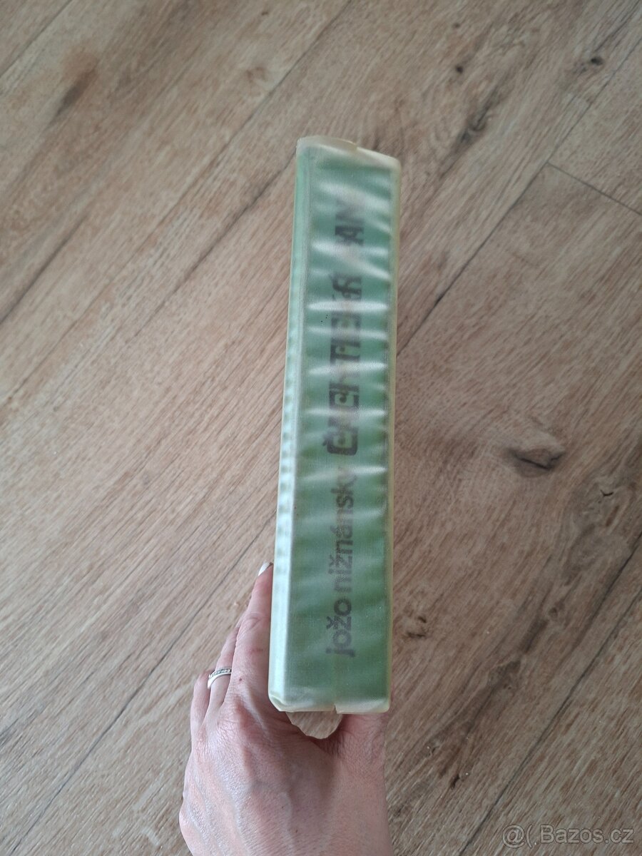 Jozo Niznansky: Cachticka pani - 2