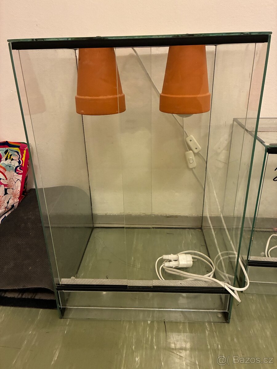Terarium - 2