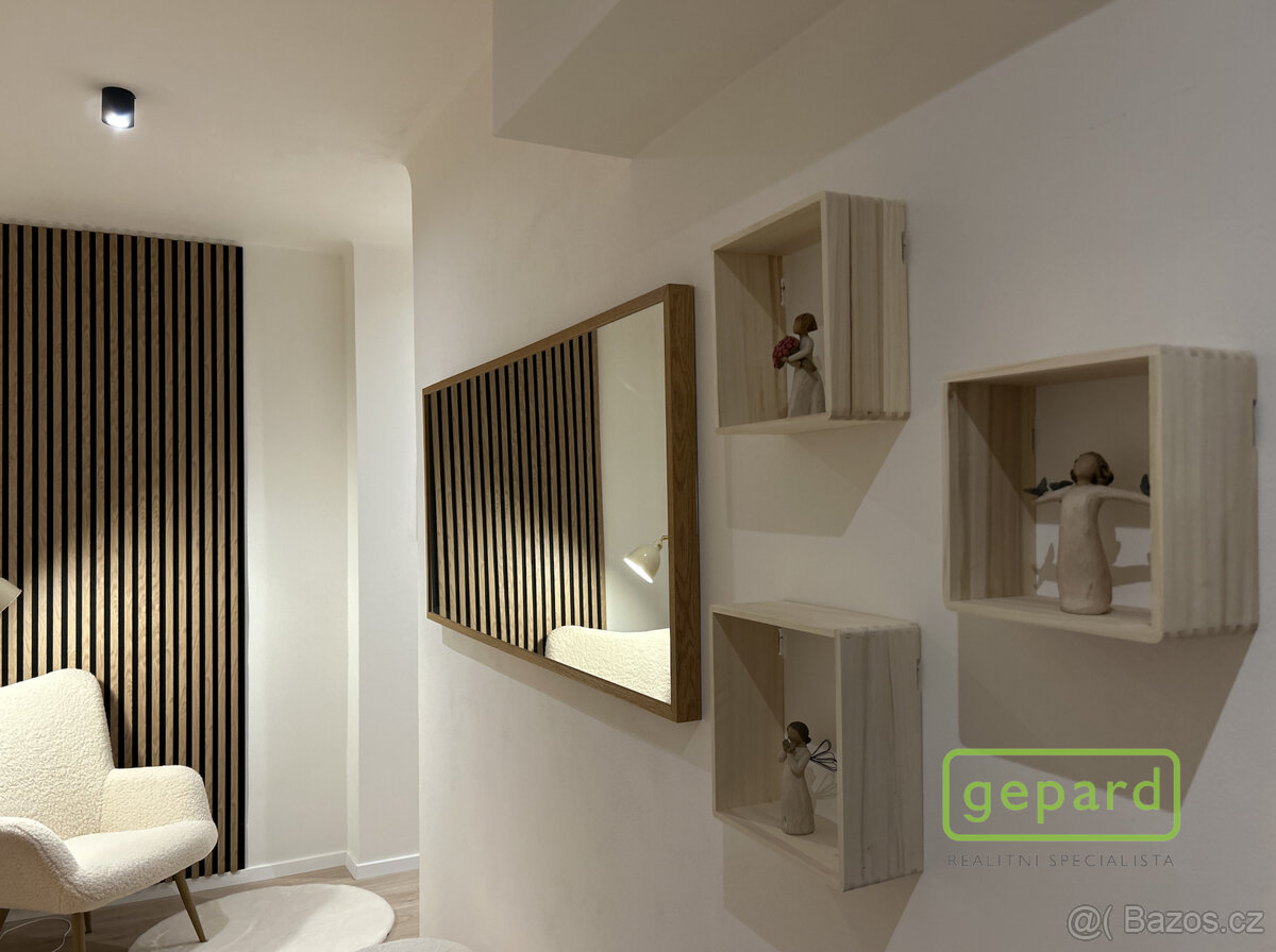 Pronájem bytu 2+1 Strašnice - 2