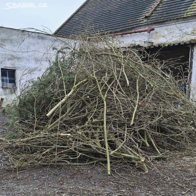 Dřevo, klestí do štěpkovače, za odvoz - 2