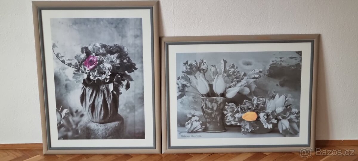Obrazy v rámečku pod plexisklem - 2