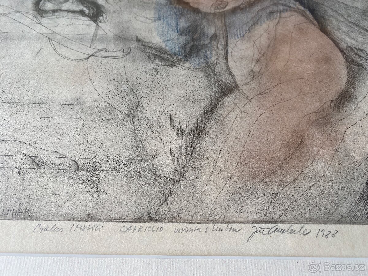 Jiri Anderle - cyklus I Musici - 2