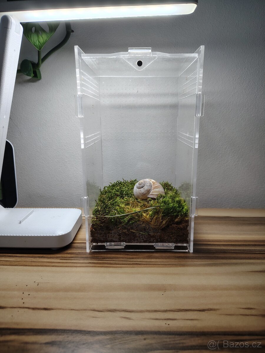 Terárium plastové - 2