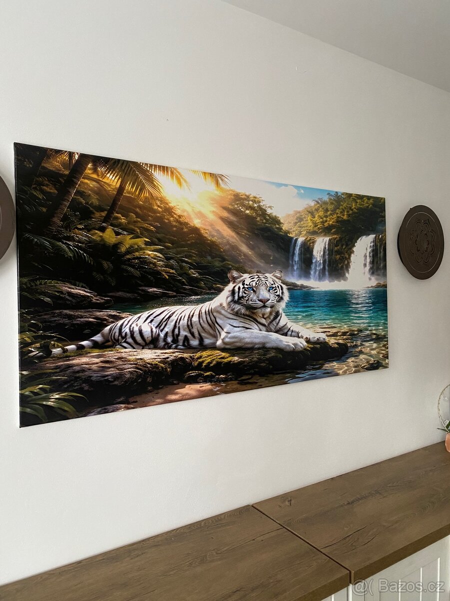 Bílí tygr 70x140cm - 2