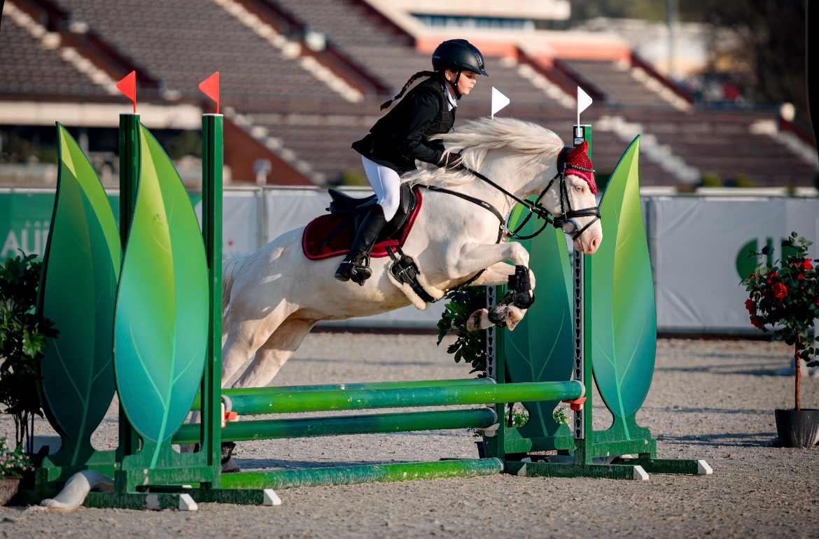 Prodám sportovního pony S - 2