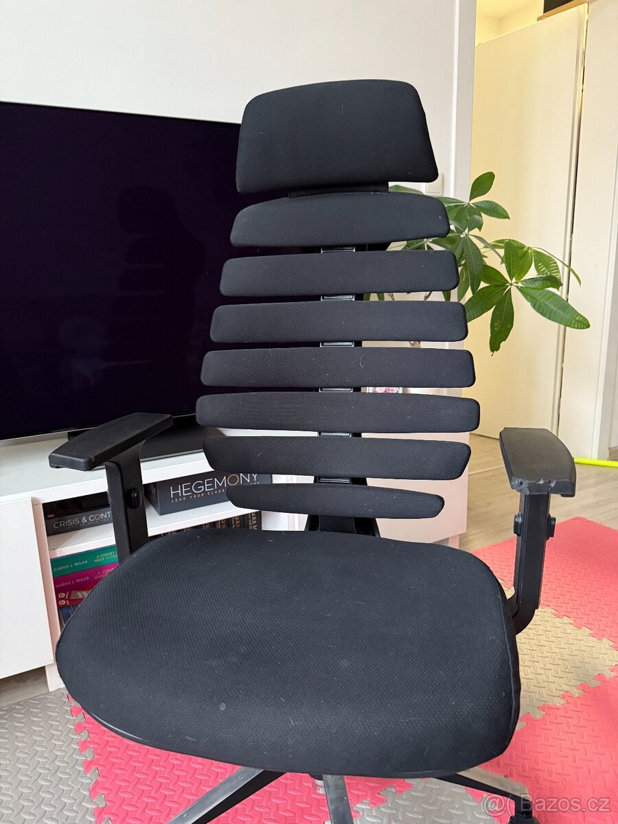 Ergonomická kancelářská židle Fish Bones - 2