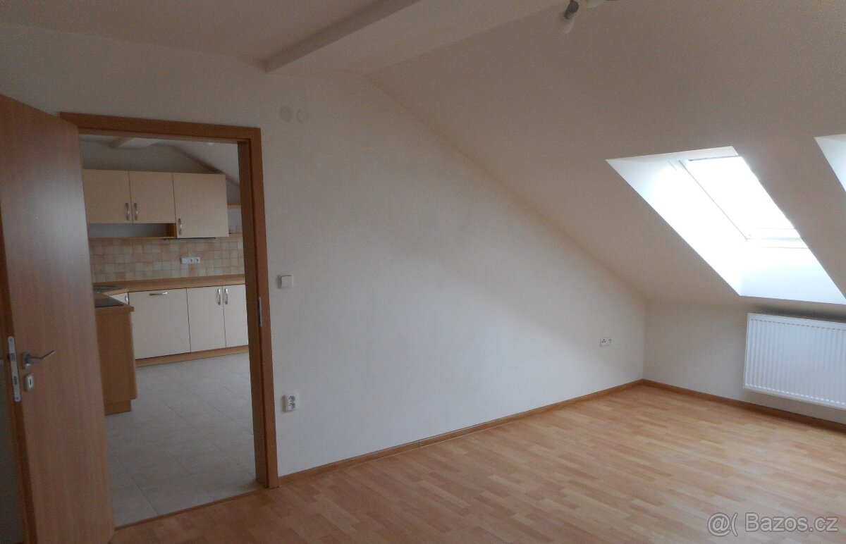 Pronajmu byt 2+1 - 2