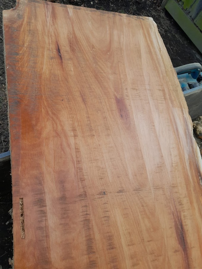 Platanové fošny - 2