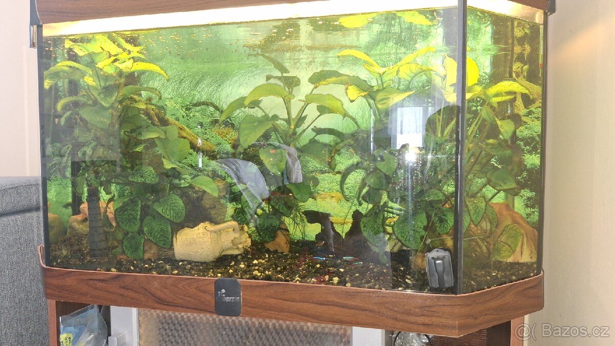 Prodám akvárium diversa 180l - 2