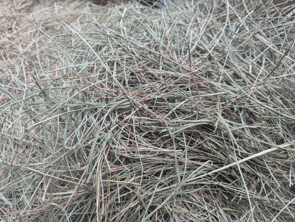 lisované seno - balíky - 2