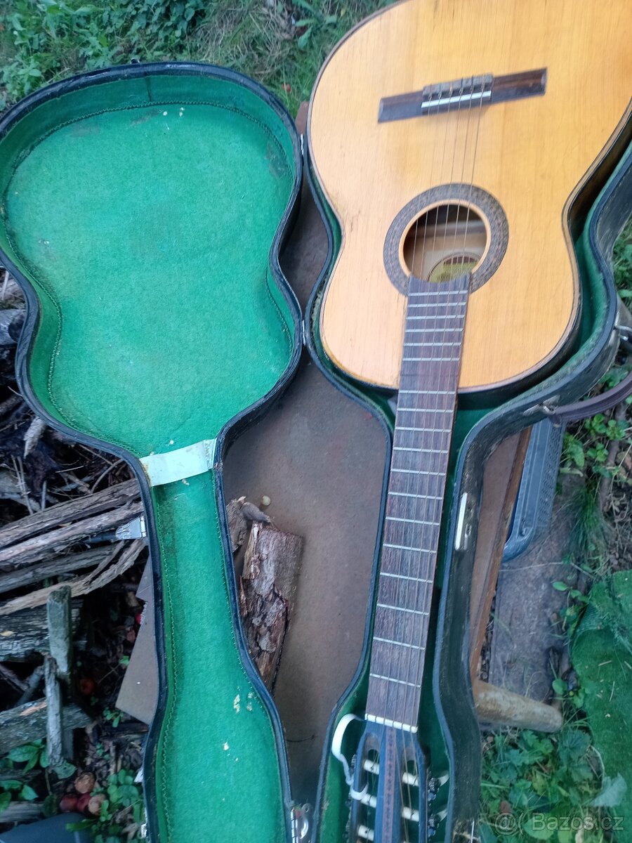 Kytara s pouzdrem - 2