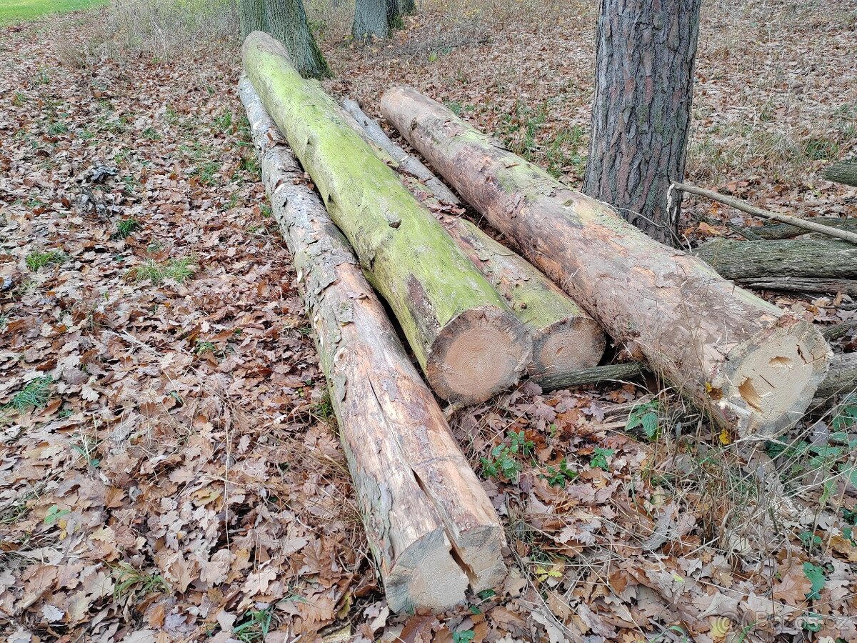 Palivové dřevo - 2