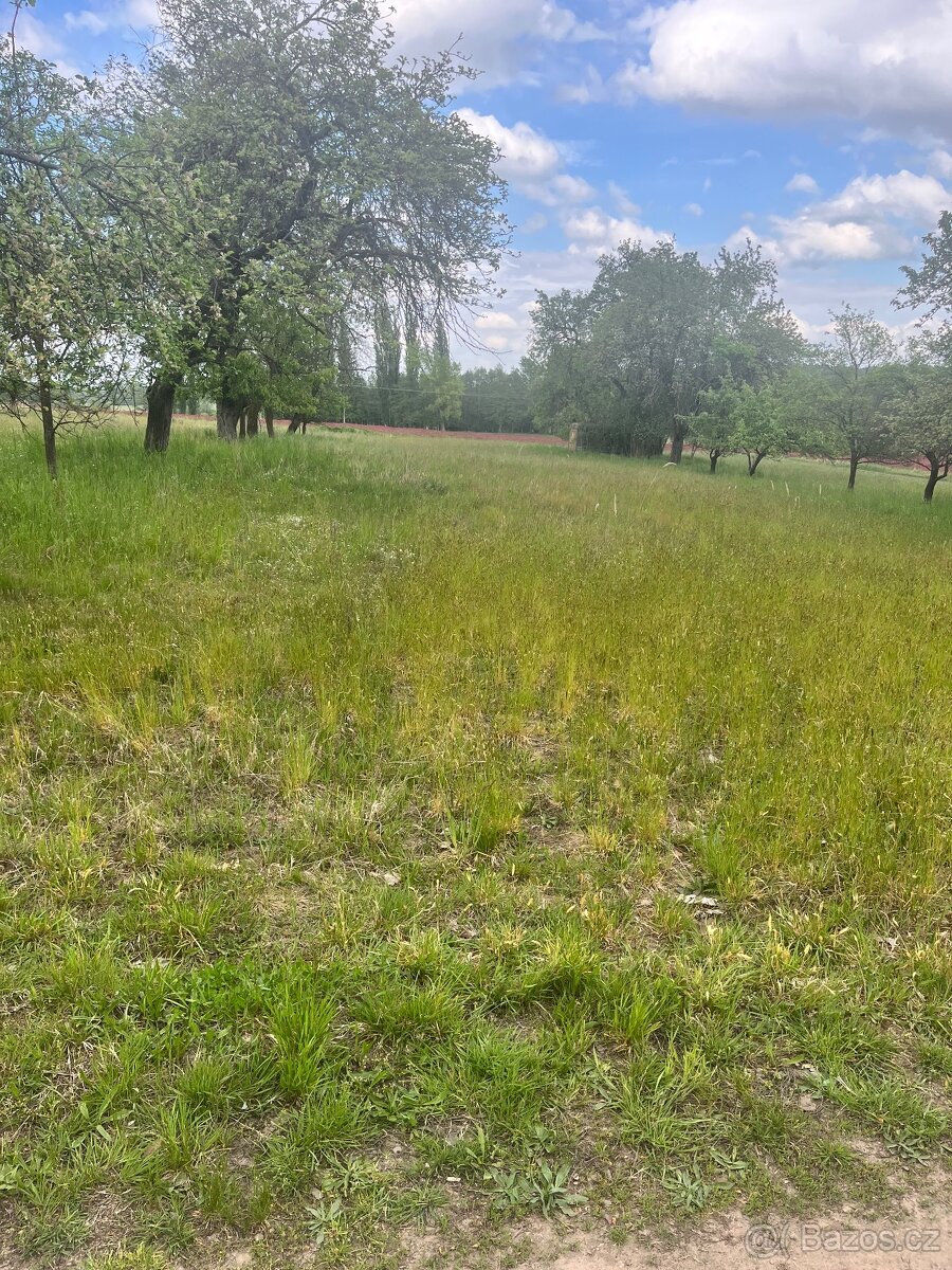 Ovocný sad 5219 m2 - 2