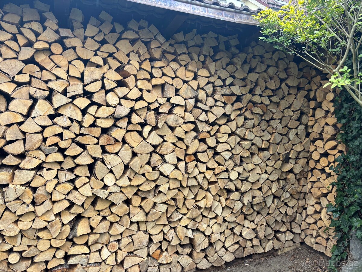 Palivové dřevo (tvrdé) - 2
