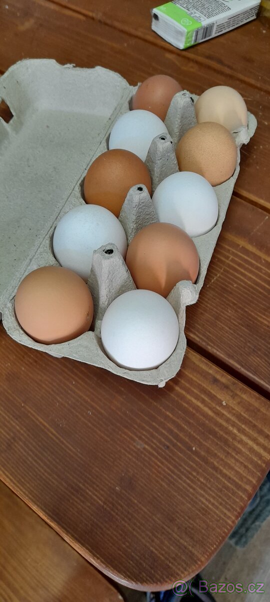 Domácí vajíčka domácí vejce - 2