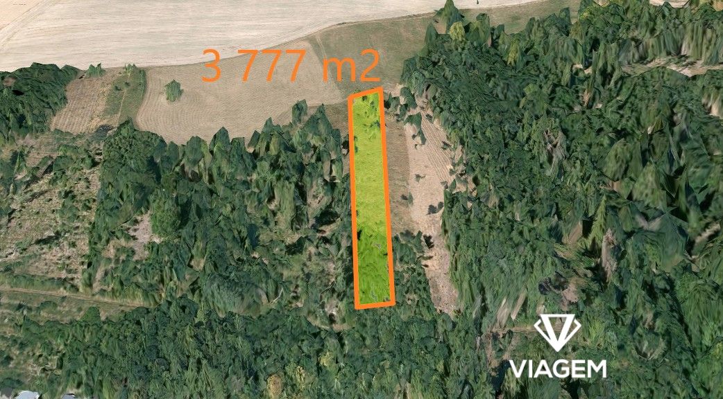 Les 3 777 m² - 2