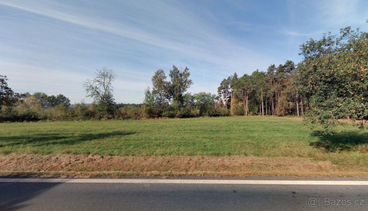 Les, prodej, Luženice, Luženičky, Domažlice - 2