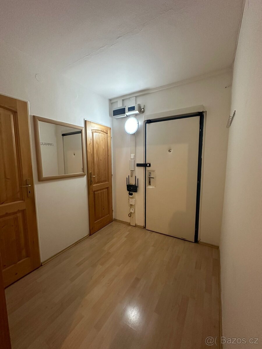Pronájem bytu 2+kk v Řepích - 2