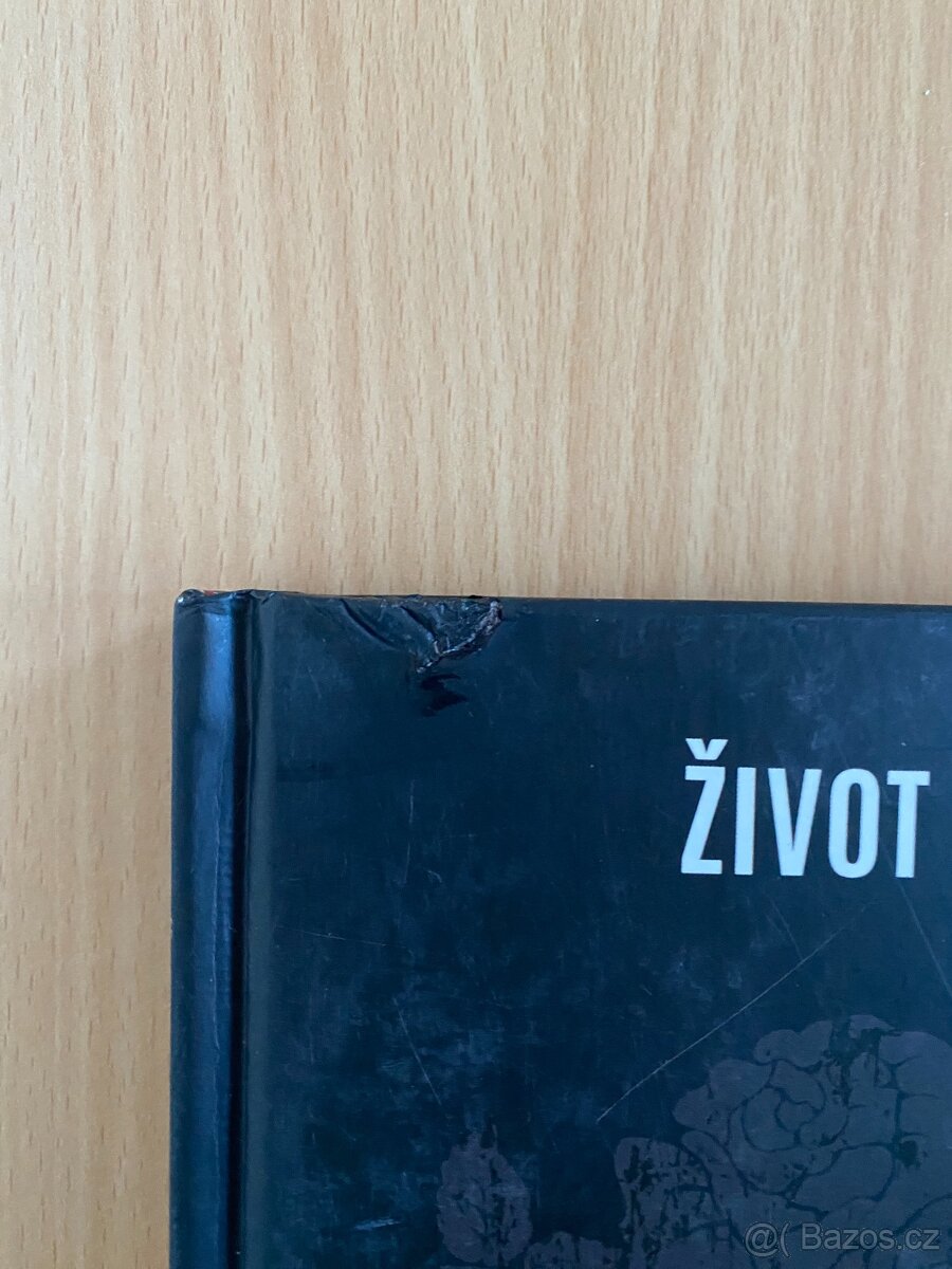 Kniha Guns N' Roses - 2