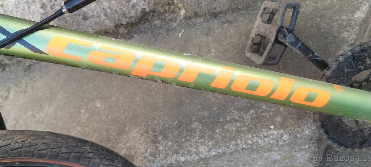Bmx caprio - 2