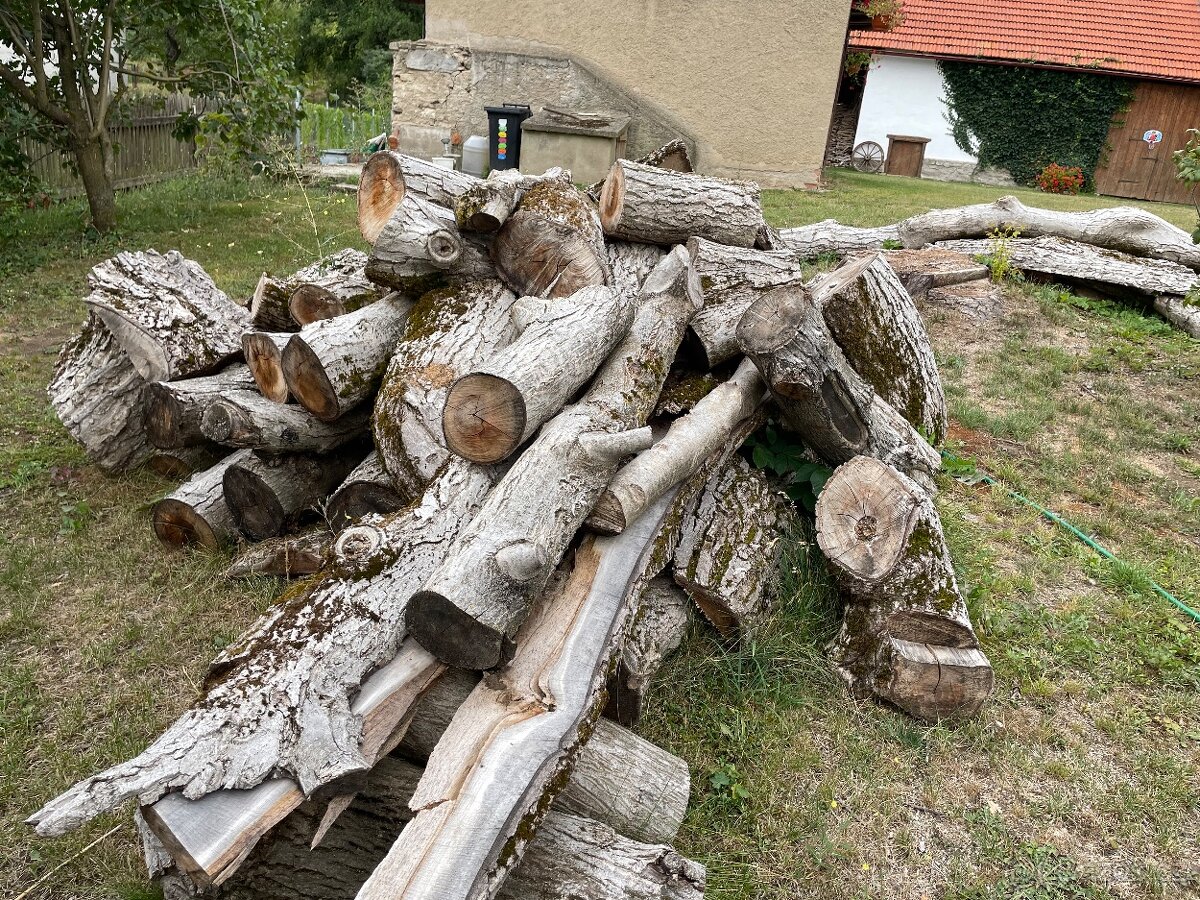 Ořech -dřevo na topení - 2