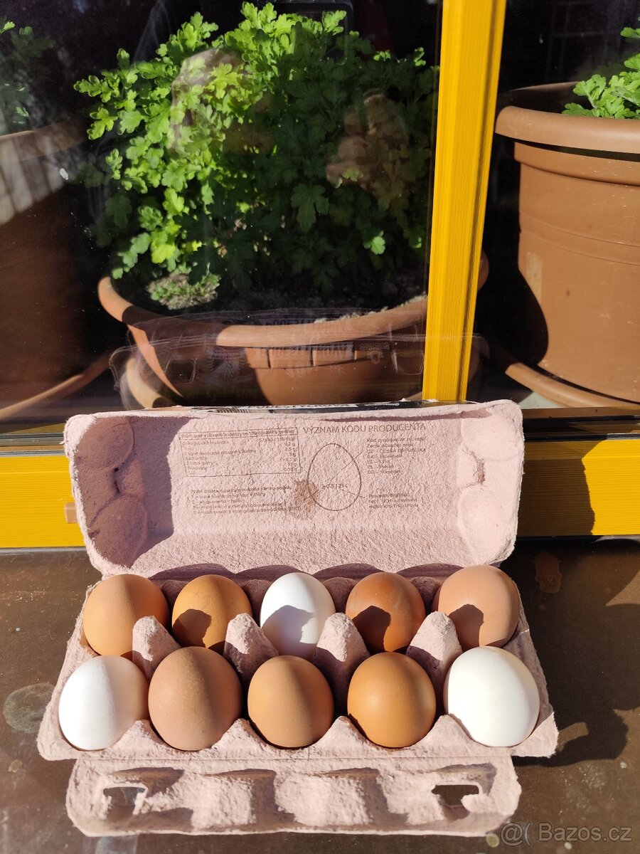 Domácí vajíčka - 2