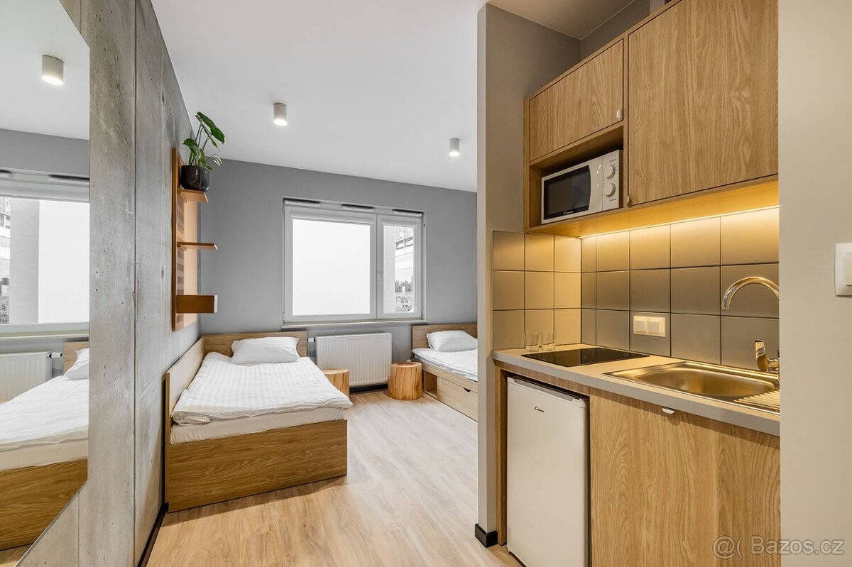 Byt 1+kk, Doudlevce, Plzeň - 2