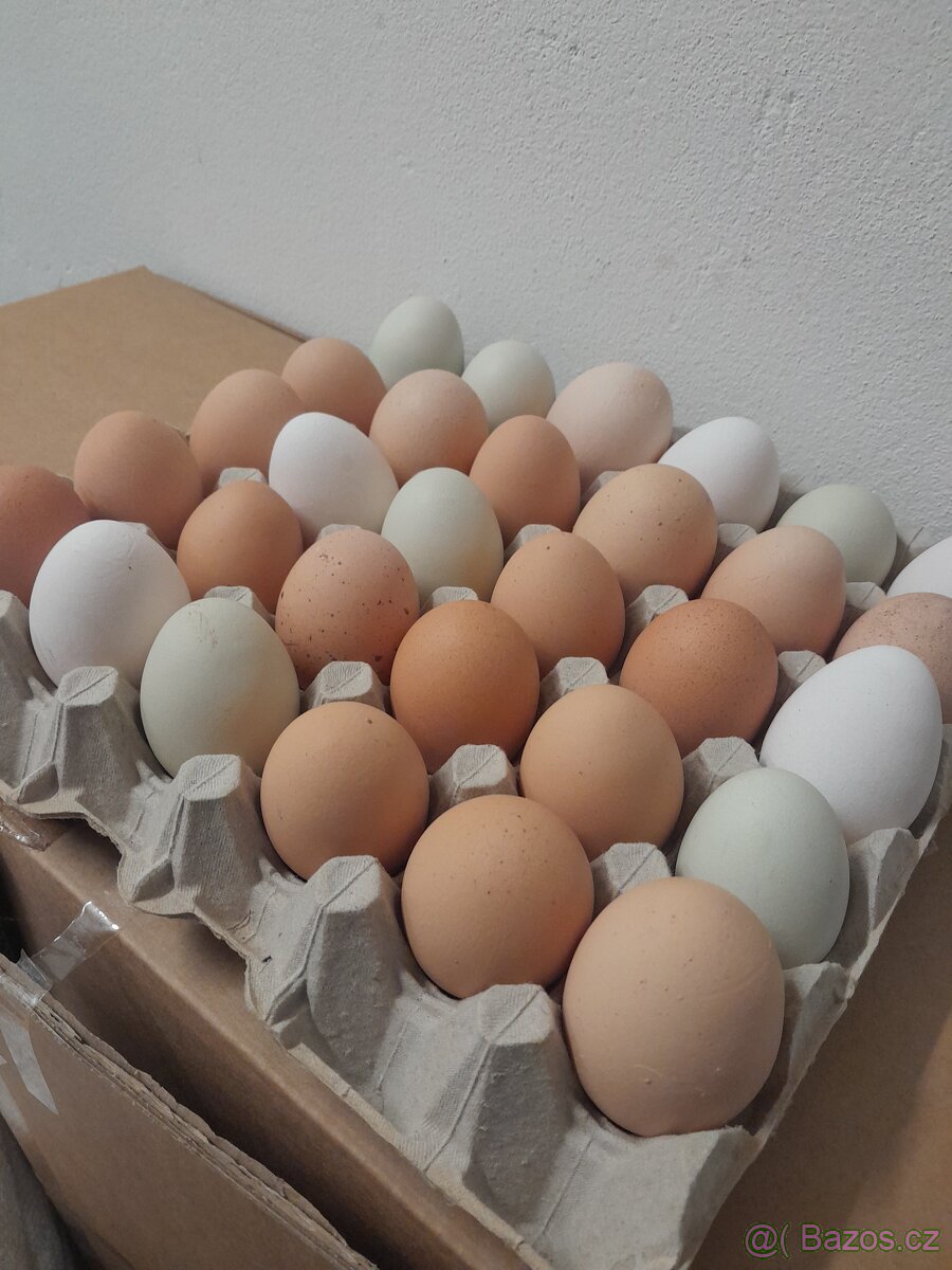 Domácí vejce - 2