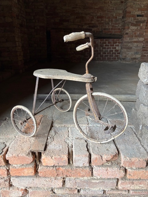 Dětská tříkolka - 2