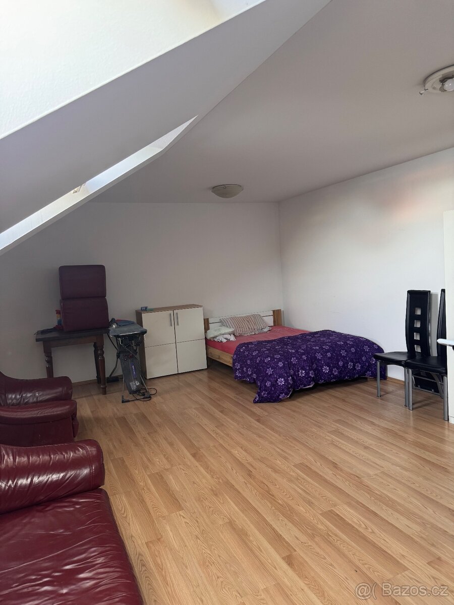 Hledám spolubydlícího/spolubydlící - 2