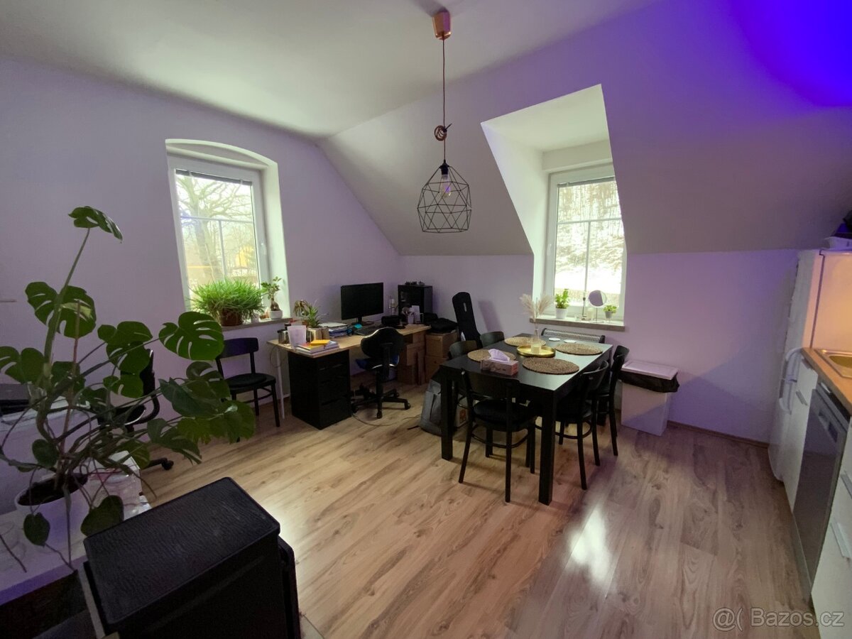 Pronájem bytu 4+kk s předzahrádkou a parkováním - 2