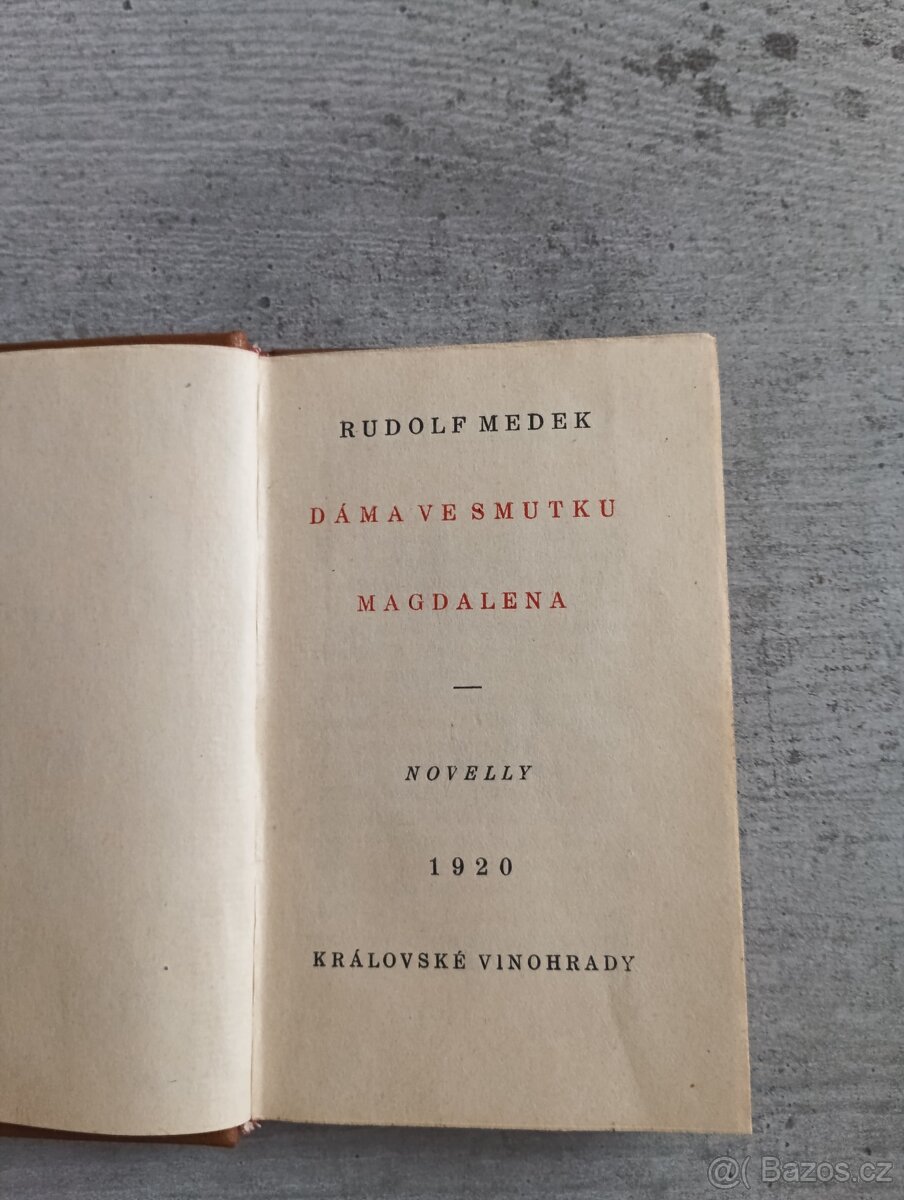 Dáma ve smutku - kniha - 2