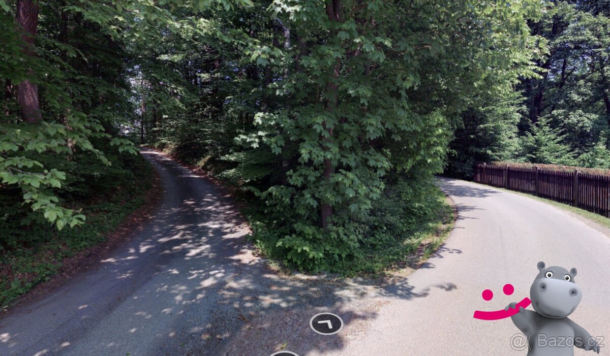 Prodej lesa 2 191 m², Zašová, ev.č. 58883 - 2