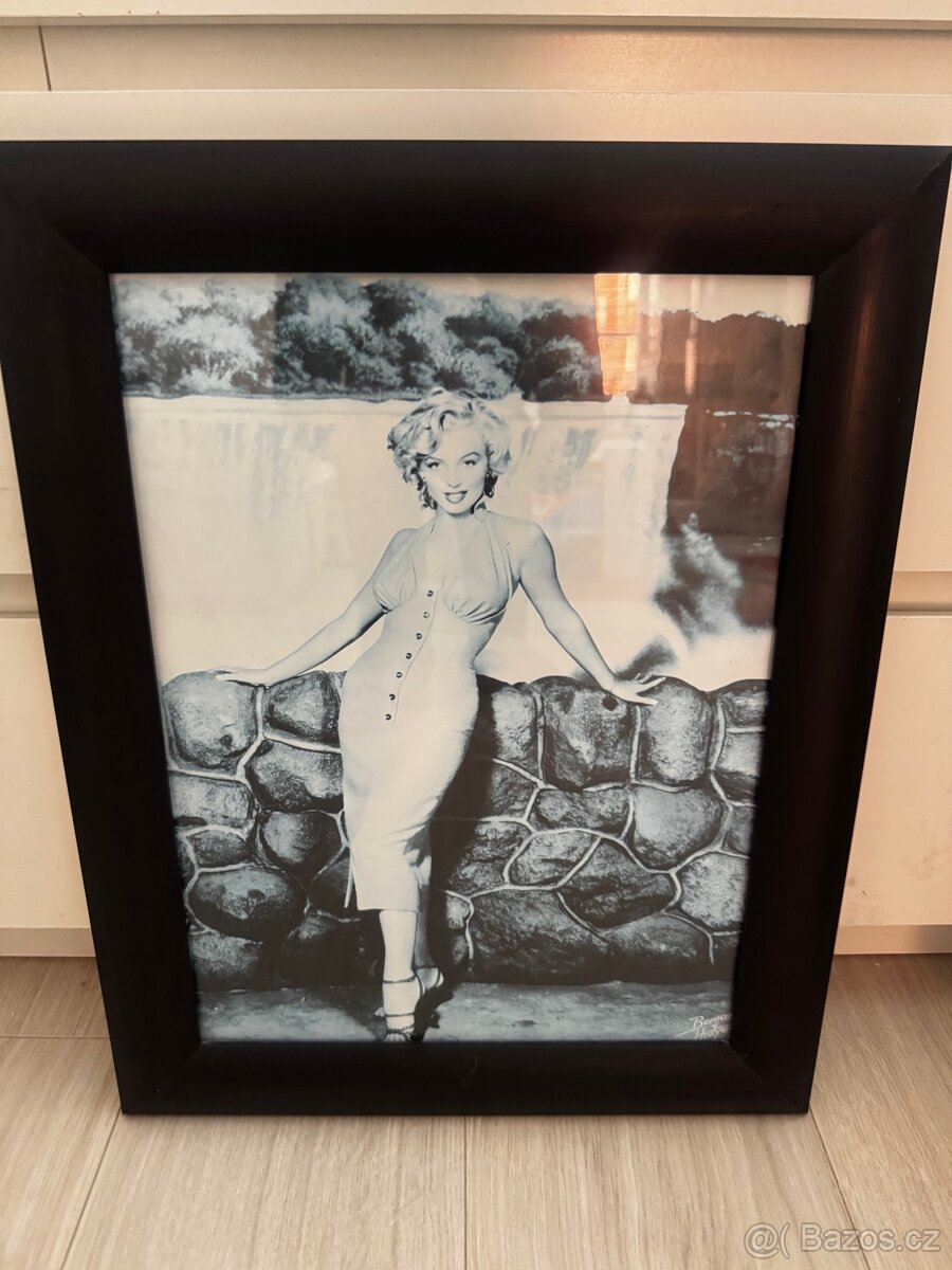 Prodám obrazy Marilyn Monroe. - 2