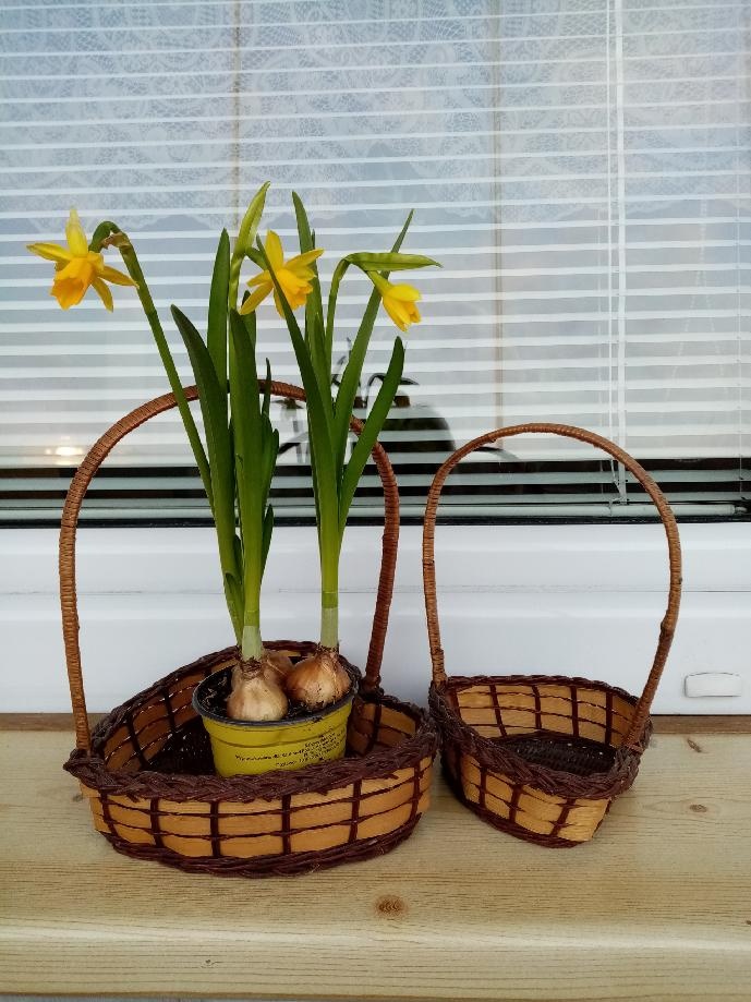 RETRO KAČKY A KOŠÍKY - 2