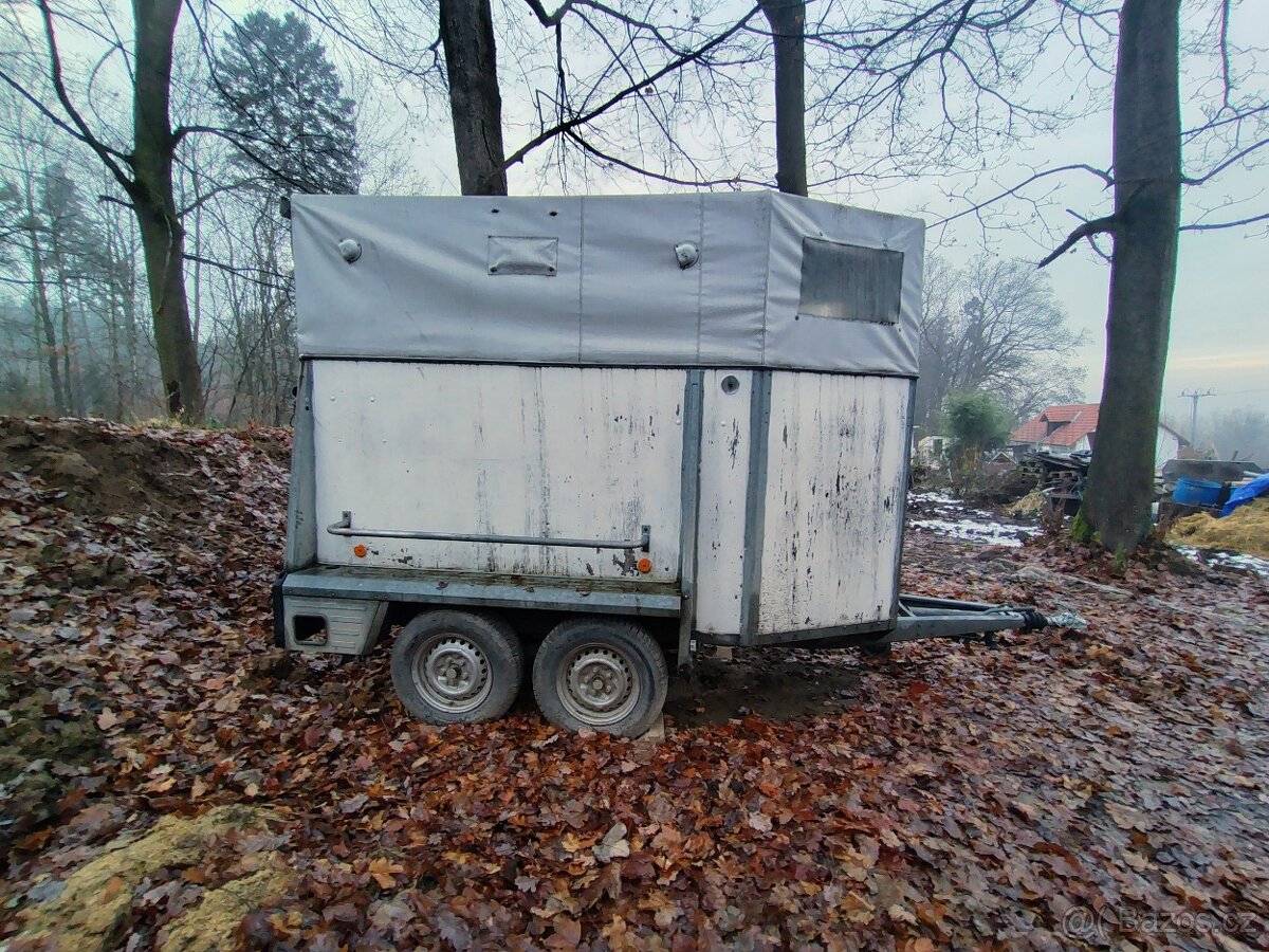 Přepravník pro koně, hengr Westfalia - 2