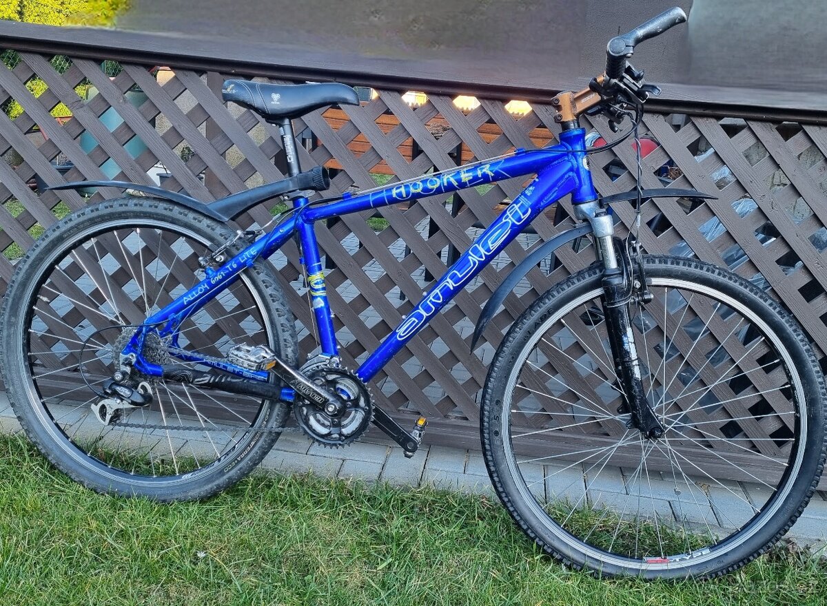 Dámské horské kolo - 2