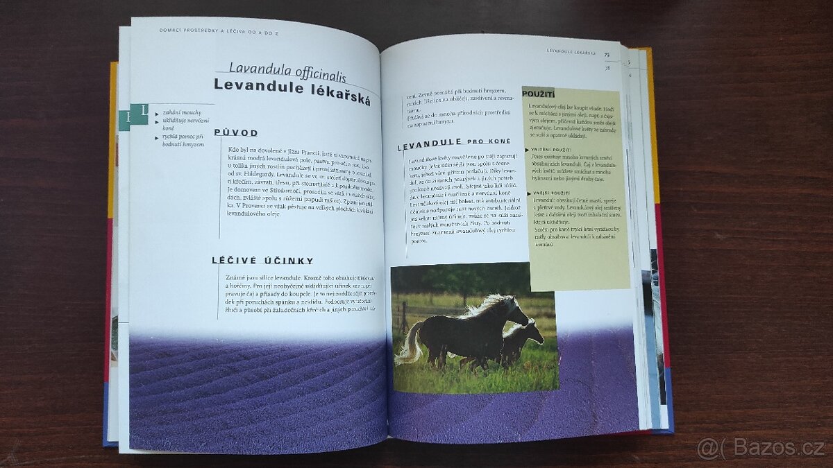 Přírodní Léčba Koní - 2