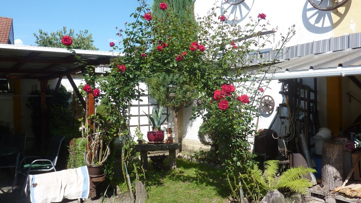 Prodam rodinny dum v Trebechovicich - 2