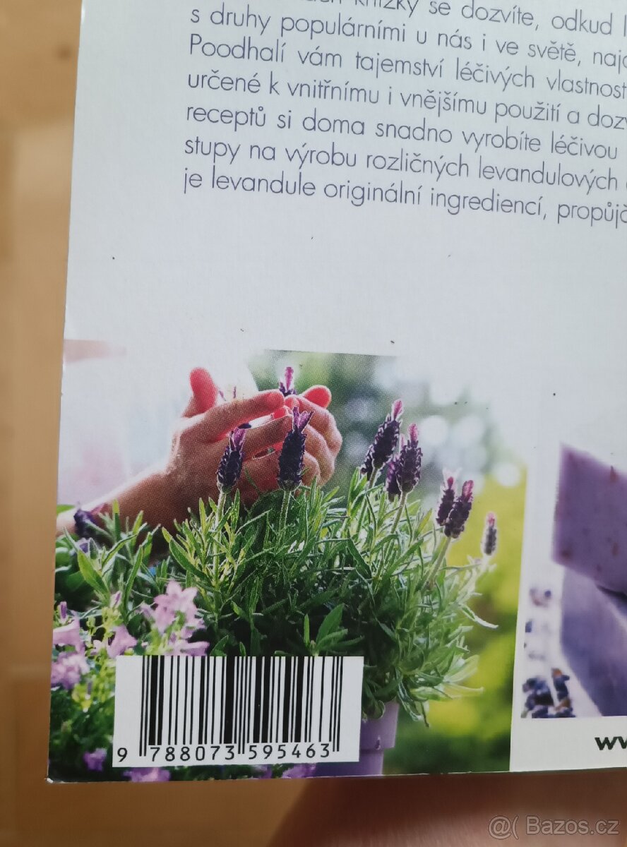 Kniha Levandule - 2